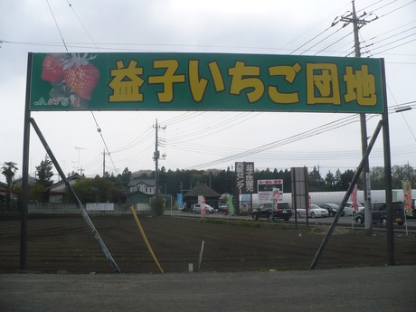 益子いちご狩 (7)