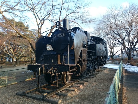 大田原・C11形 (6)