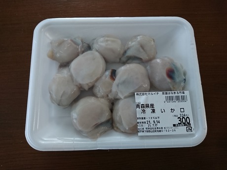イカ口