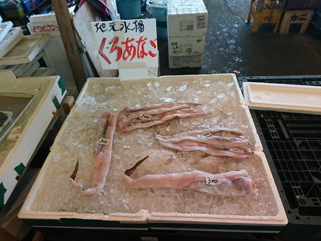 くろあなご
