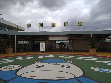 ���Ķ���2025