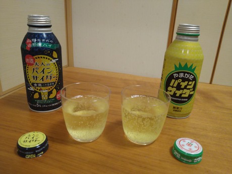 パインサイダー2