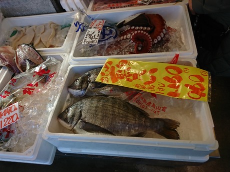 魚しず777