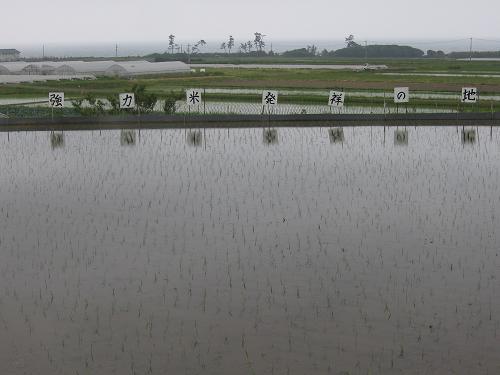 ���Ϥ��Ĥ��