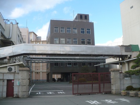 沢の鶴