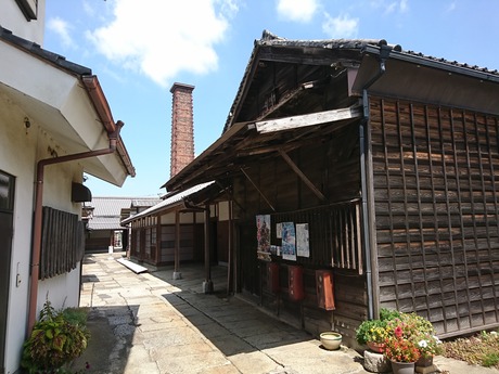 馬場本店酒造2