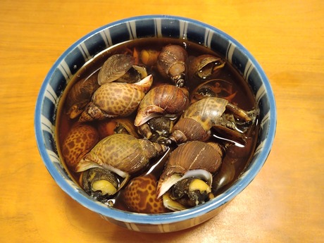 バイ貝煮付け