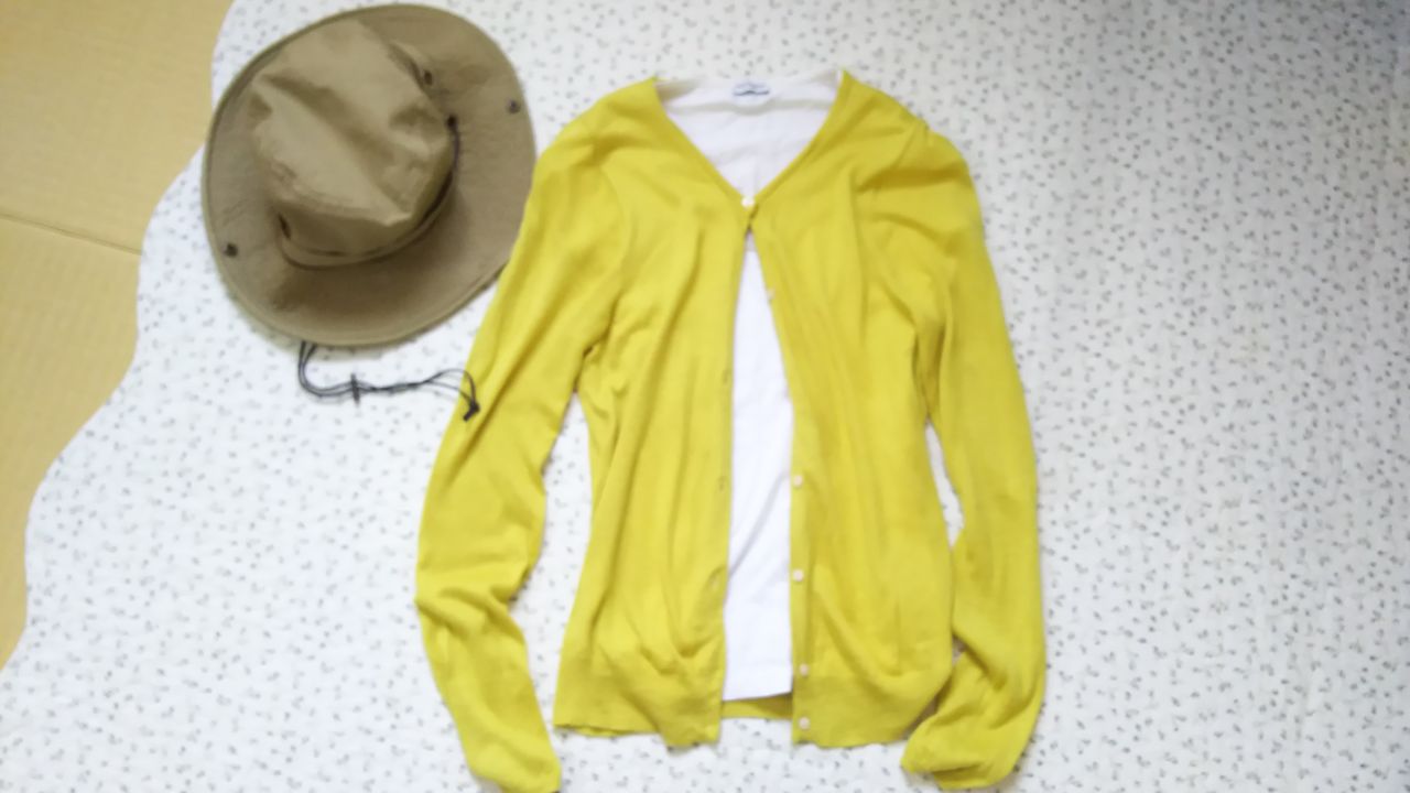 少ない服で着回し 春 夏に迷う苦手色コーデ 暮らしふわり 和と北欧でシンプルに