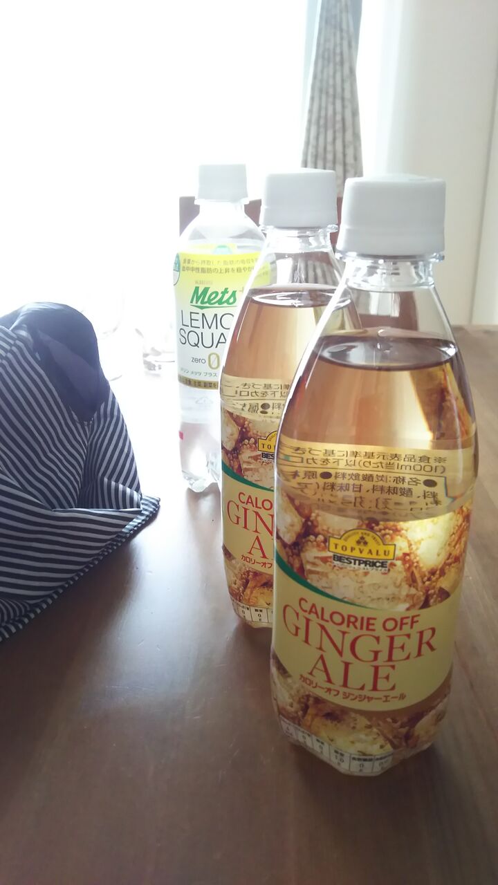 エコバッグの事とつい買ってしまう炭酸 カロリーオフジンジャーエール 暮らしふわり 和と北欧でシンプルに エコバッグの事とつい買ってしまう炭酸 カロリーオフジンジャーエール 暮らしふわり 和と北欧でシンプルに