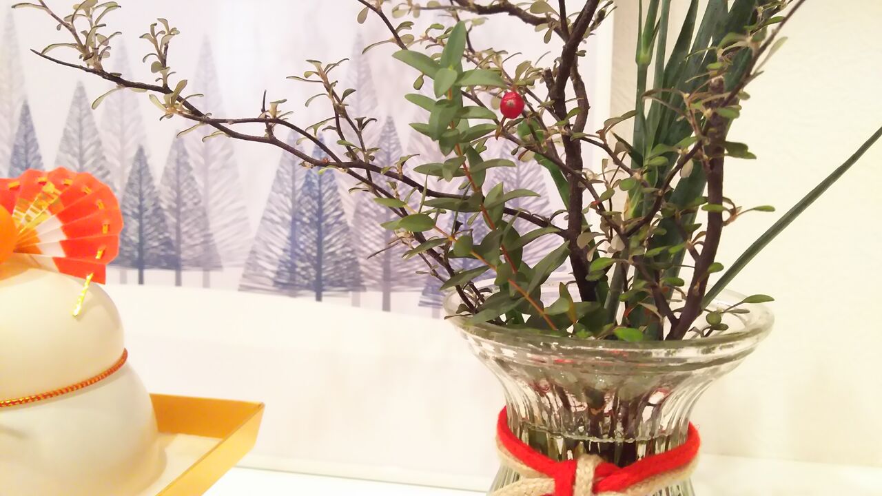 最近なくて困ったもの 紅白カーネーション切り花を家にあるもので長持ちさせたい 暮らしふわり 和と北欧でシンプルに 最近なくて困ったもの 紅白カーネーション切り花を家にあるもので長持ちさせたい 暮らしふわり 和と北欧でシンプルに