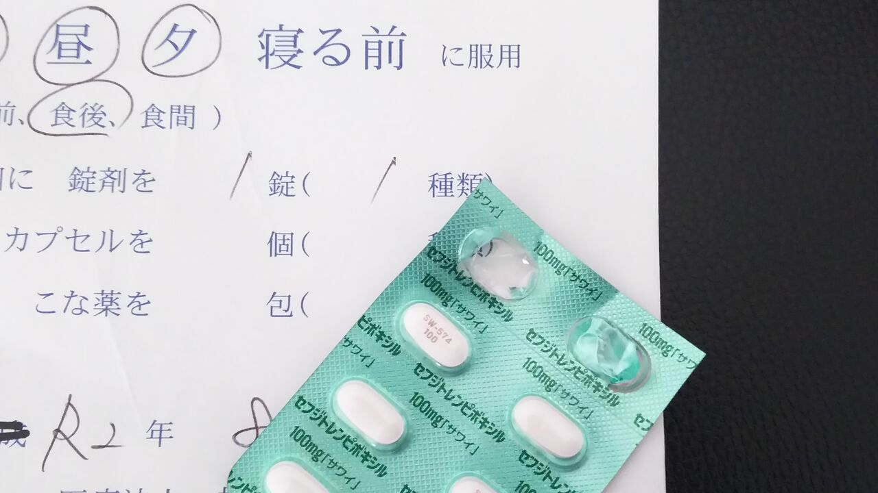 犬に噛まれたら 薬と犬の気持ち 暮らしふわり 和と北欧でシンプルに