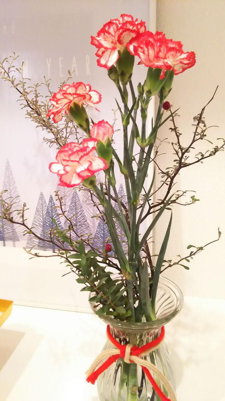 最近なくて困ったもの 紅白カーネーション切り花を家にあるもので長持ちさせたい 暮らしふわり 和と北欧でシンプルに 最近なくて困ったもの 紅白カーネーション切り花を家にあるもので長持ちさせたい 暮らしふわり 和と北欧でシンプルに