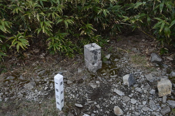 イメージ 35