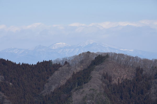 イメージ 31