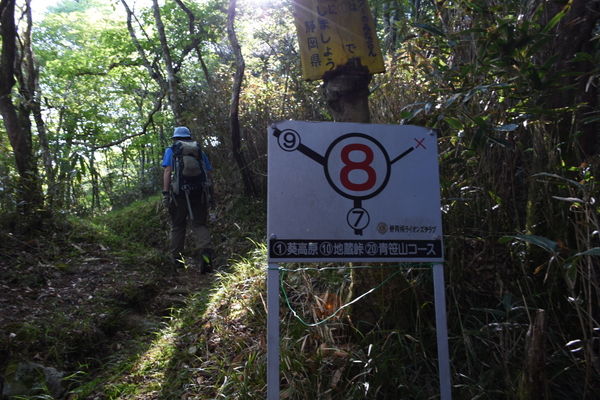 イメージ 4