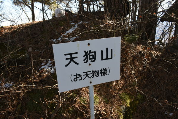 イメージ 47