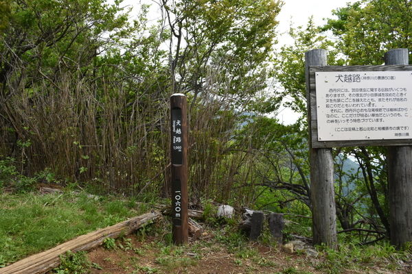 イメージ 10