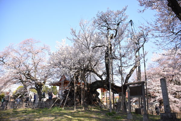イメージ 2