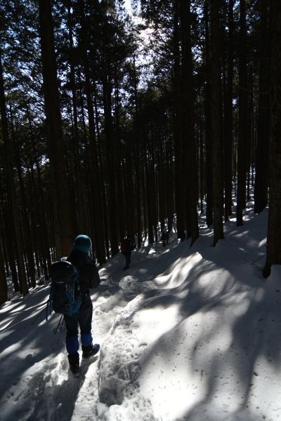 イメージ 43
