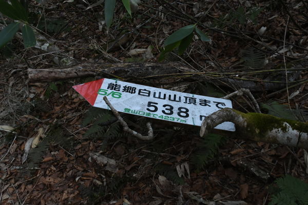 イメージ 25
