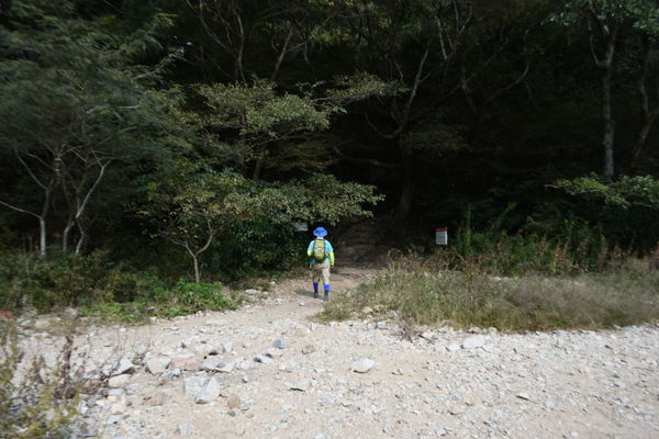 イメージ 20