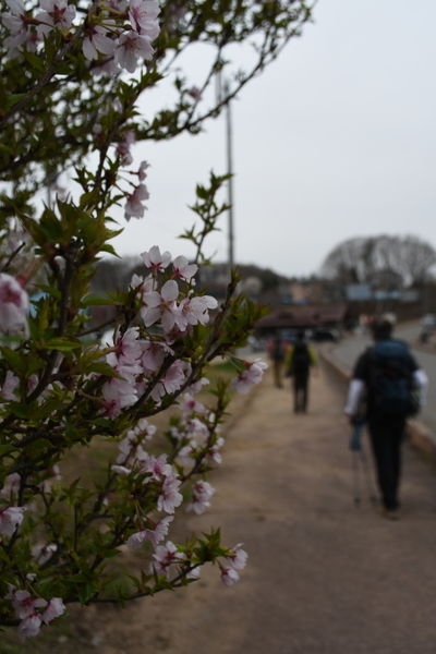 イメージ 46