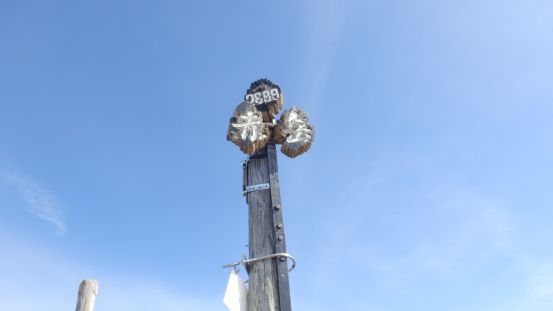 イメージ 56