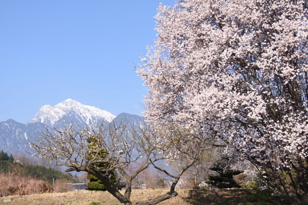 イメージ 3