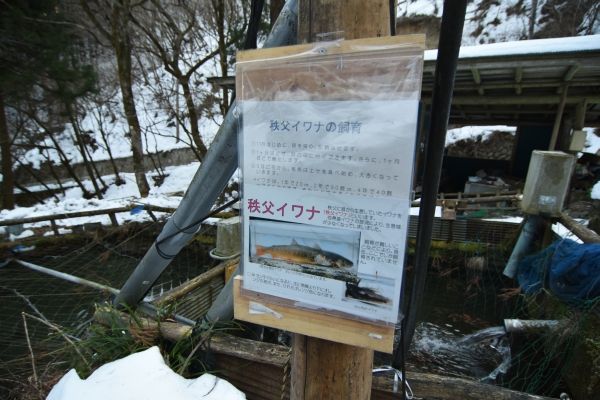 イメージ 46