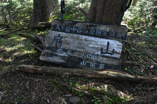 イメージ 13
