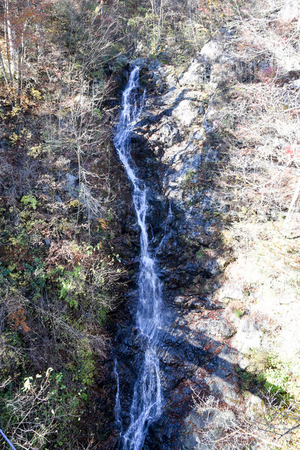 DSC_1673