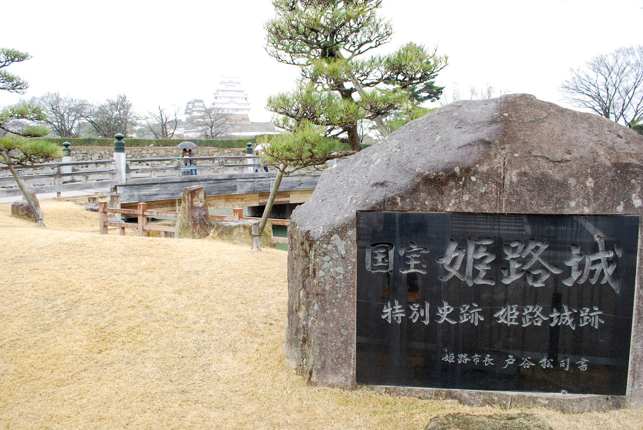 ai-nonaka-182