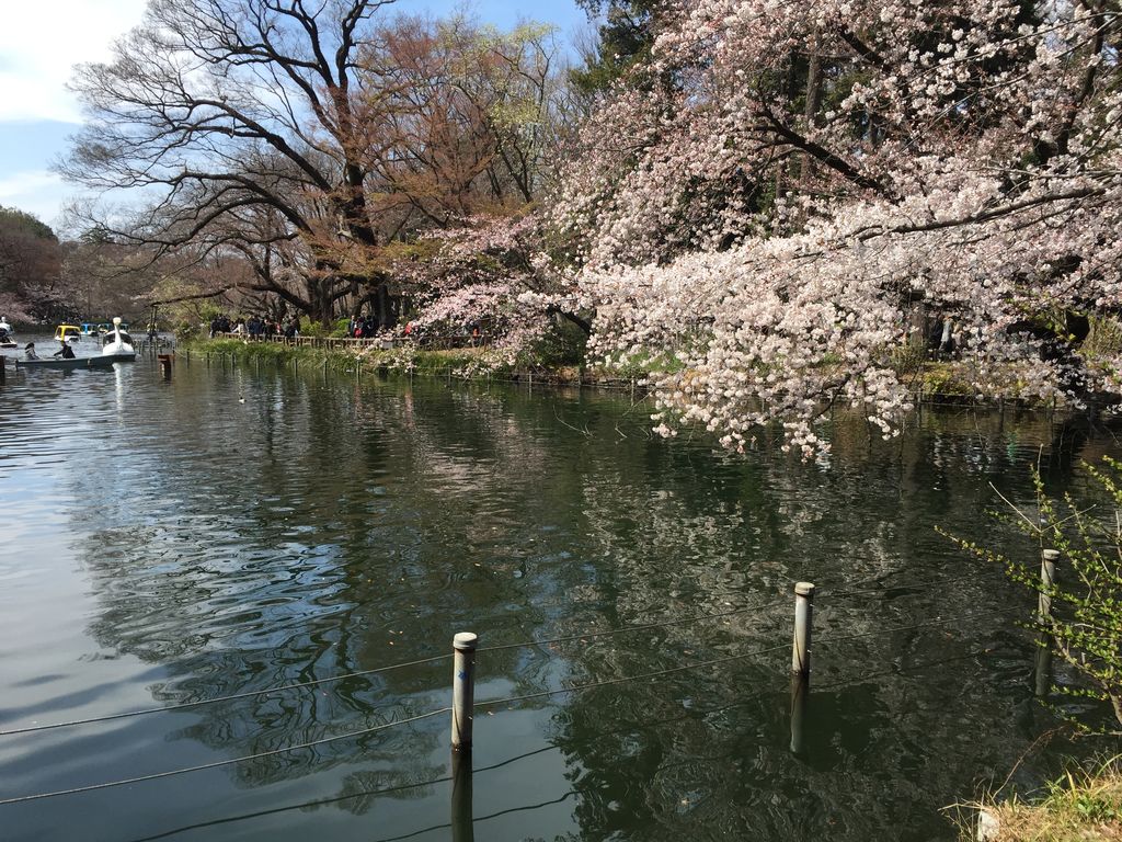 20170402_035525788_iOS