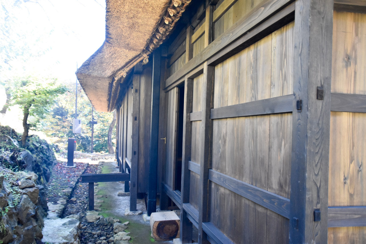 DSC_1965