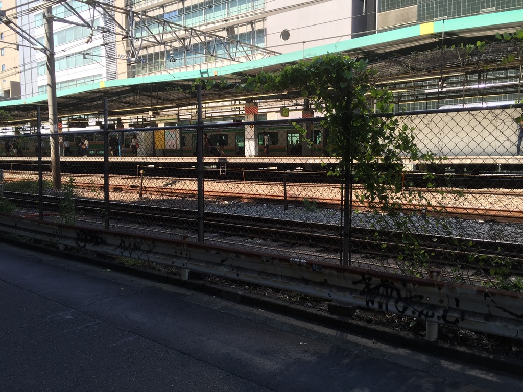 20160602_050544660_iOS