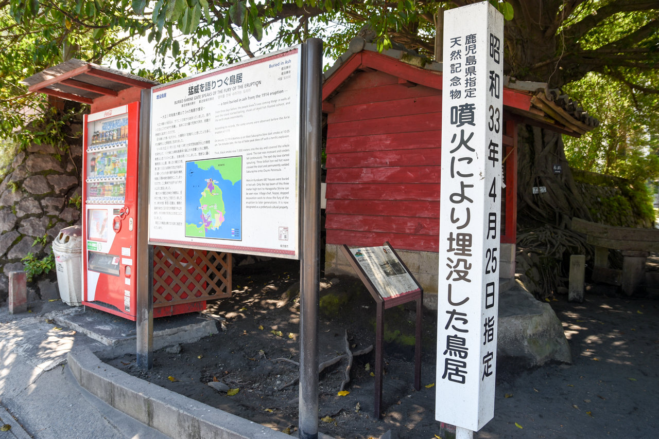 kagoshima-63