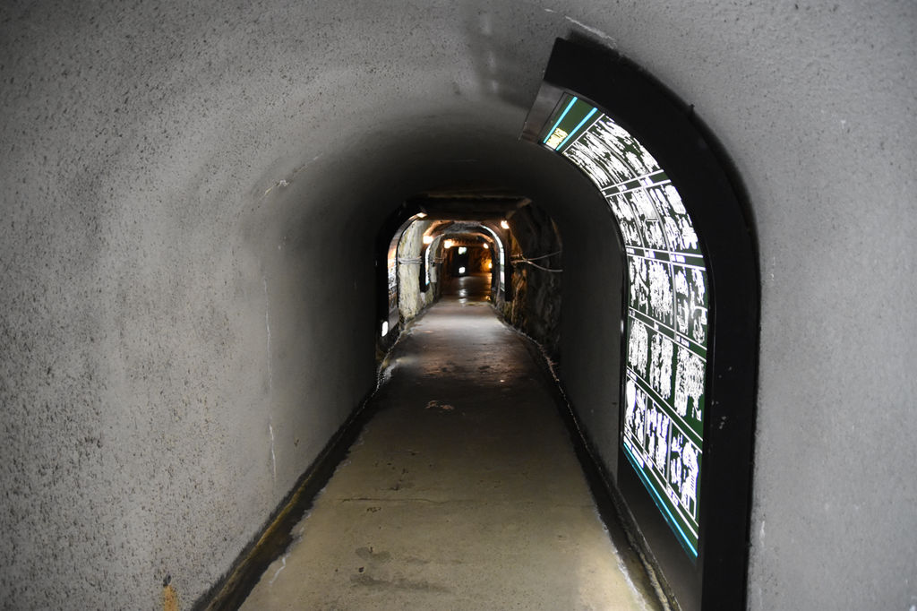 DSC_1953