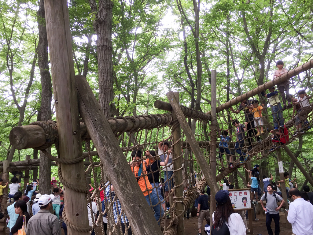 20160503_051118343_iOS