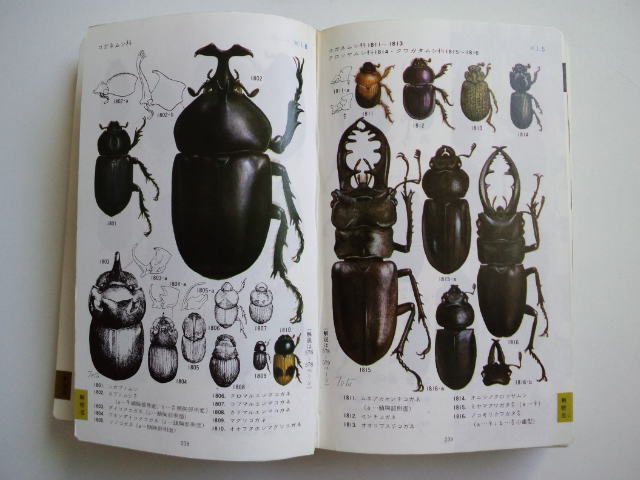 昆虫調べのバイブル 原色昆虫百科事典 彦島太郎の四方山話