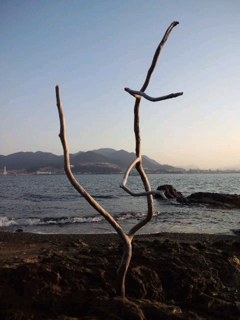 道の駅樹海ロード日高