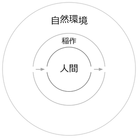 210122 稲作