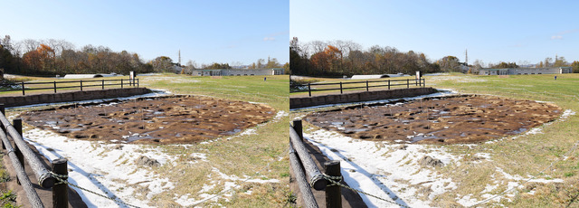 IMG_8667_8(4)大型竪穴建物跡