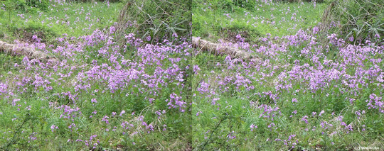 DSCF0564ab