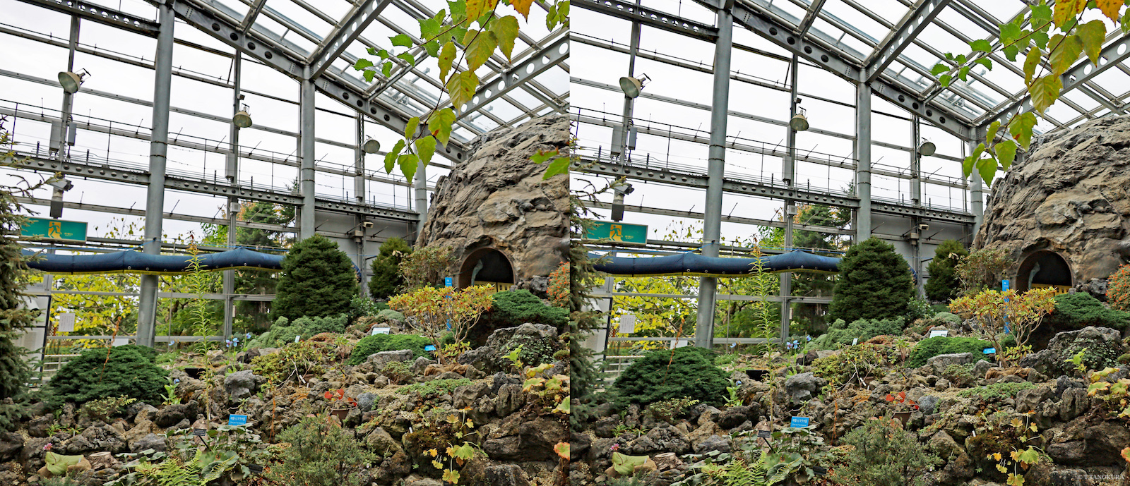 3d 咲くやこの花館 4 高山植物室 発想法 情報処理と問題解決 3d 咲くやこの花館 4 高山植物室 発想法 情報処理と問題解決