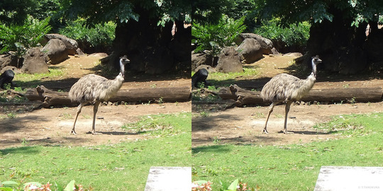 DSCF5793ab