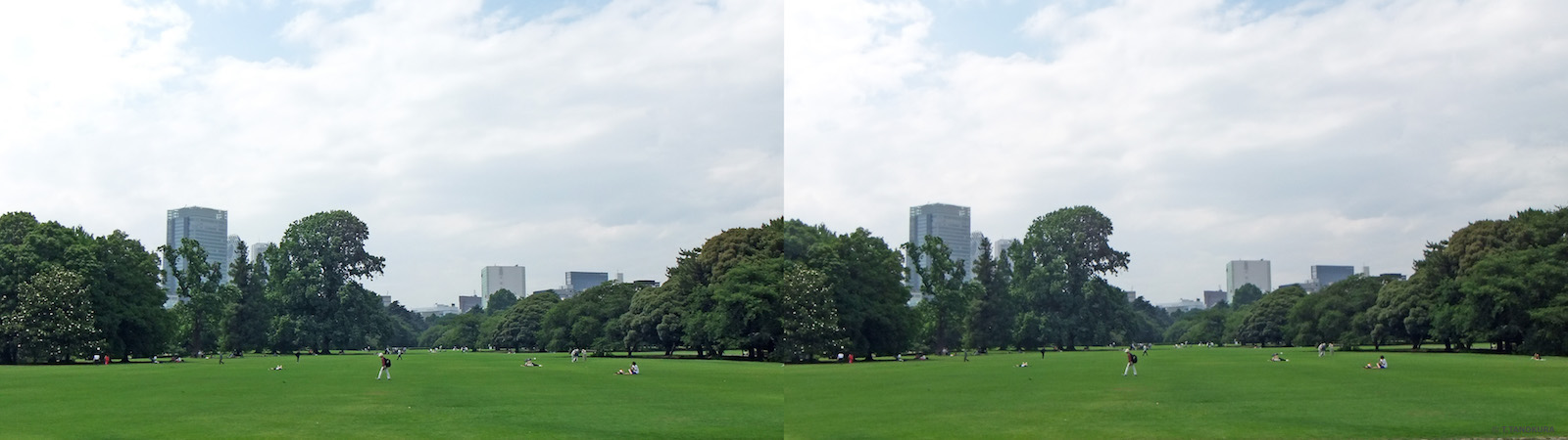 イギリス風景式庭園と植物 新宿御苑 19 発想法 情報処理と問題解決