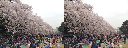 DSCF0600ba