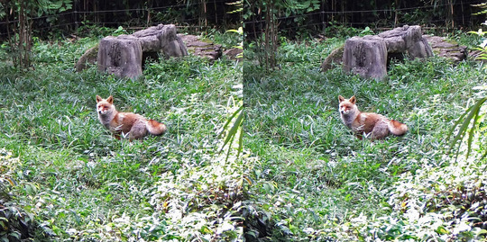 DSCF7011ab_edited-1
