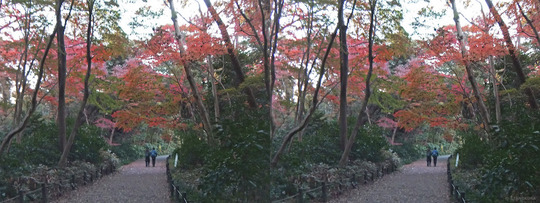 DSCF7634ab