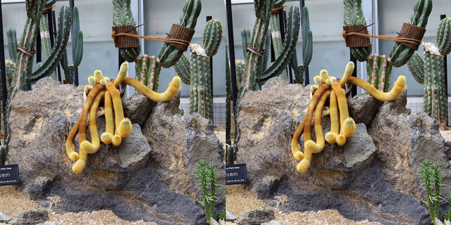 IMG_6399_40_edited-1